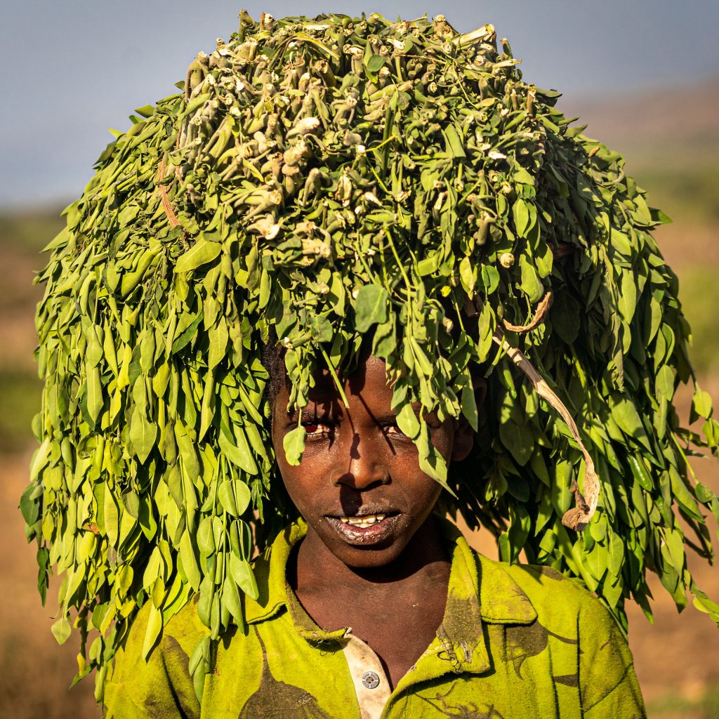 Ein eindringliches Porträtfoto eines jungen afrikanischen Jungen. Er blickt mit einem intensiven, direkten Ausdruck in die Kamera. Auf seinem Kopf trägt er eine riesige, schwere Last aus grünen Blättern, die sein Gesicht fast einrahmt und seine schmale Statur betont. Das weiche Licht hebt die Texturen der Blätter und seiner Kleidung hervor, während der Hintergrund in unschärfer Unschärfe verschwindet. Die Aufnahme fängt einen Moment voller Stärke und zugleich Verletzlichkeit ein.