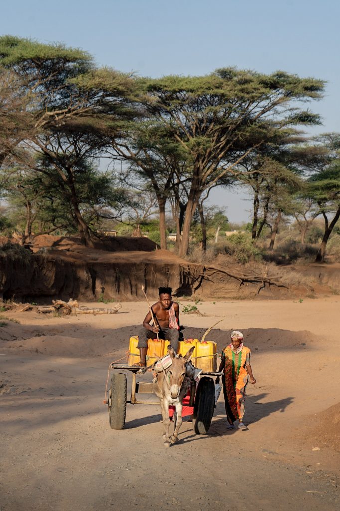 Fine-Art-Fotografie einer typischen afrikanischen Szene: Ein Junge sitzt auf einem Eselkarren voller Wasserkanister auf einer staubigen Sandstraße im warmen Abendlicht.