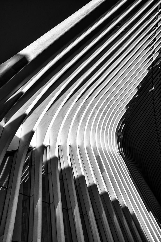 Fast abstrakte, monochrome Fine-Art-Fotografie des berühmten „Oculus“-Flügels am One World Trade Center. Die Aufnahme im extremen Schwarz-Weiß-Kontrast konzentriert sich ganz auf das weiße, rippenartige Stahlskelett der modernen Architektur. Durch die gezielte Perspektive wirkt die Struktur wie ein grafisches, geometrisches Muster aus Licht und tiefen, dunklen Schatten. Der harte Kontrast zwischen den strahlend weißen Stahlträgern und den tiefschwarzen Zwischenräumen reduziert das monumentale Bauwerk auf seine pure, skelettartige Form.