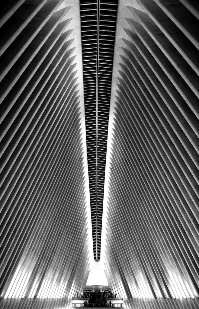 Monochrome Fine-Art-Architekturfotografie aus dem unterirsdischen Oculus am One World Trade Center. Die Perspektive ist streng zentriert nach oben gerichtet. Im Mittelpunkt steht die massive, weiße Mittelrippe der Deckenkonstruktion, von der aus sich die geschwungenen Stahlträger wie ein gigantischer, symmetrischer Rippenbogen nach links und rechts spannen. Das Spiel aus strahlendem Weiß und tiefen Schatten in den Zwischenräumen erzeugt ein beinahe abstraktes, skelettartiges Muster.
