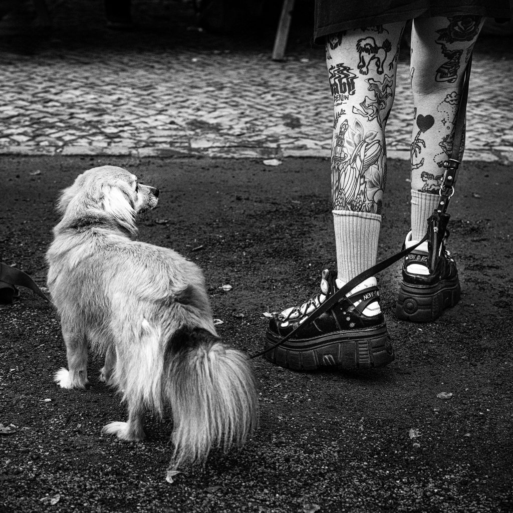 Kontrastreiche Schwarz-Weiß-Streetphotography mit einer humorvollen und charakterstarken Perspektive. Die Kamera ist tief positioniert und zeigt von hinten nur die tätowierten Beine eines Mannes. Er trägt weiße Sportsocken und klobige, sportliche Plateau-Schuhe. An einer feinen Leine führt er einen kleinen, weißen Hund der im Profil seitlich am Mann vorbeischaut. Der harte Kontrast zwischen den markanten, tätowierten Männerbeinen und dem niedlichen, weißen Hund erzeugt eine charmante visuelle Ironie auf dem urbanen Asphalt.