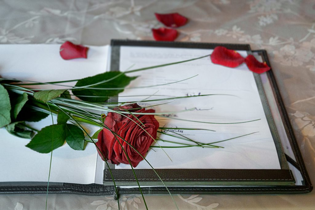 Detailaufnahme eines aufgeschlagenen Buches auf einem Tisch, auf dem handschriftliche Unterschriften zu sehen sind; eine elegante rote Rose liegt quer über den Seiten.