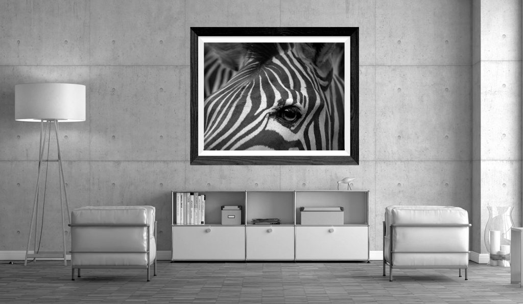 Helles Wohnzimmer mit einer Betonwand vor der 2 Sessel und ein Sideboard stehen. Über dem Sideboard hängt ein schwarz gerahmtes Foto von einem Zebra Gesicht, von dem hauptsächlich das Auge sichtbar ist. Das Foto ist in Schwarz-Weiß.
