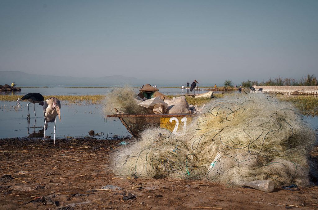marabu storck and fishing nets