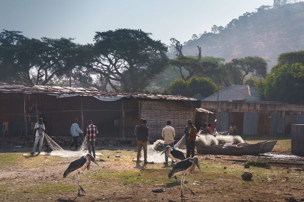 men sort their nets