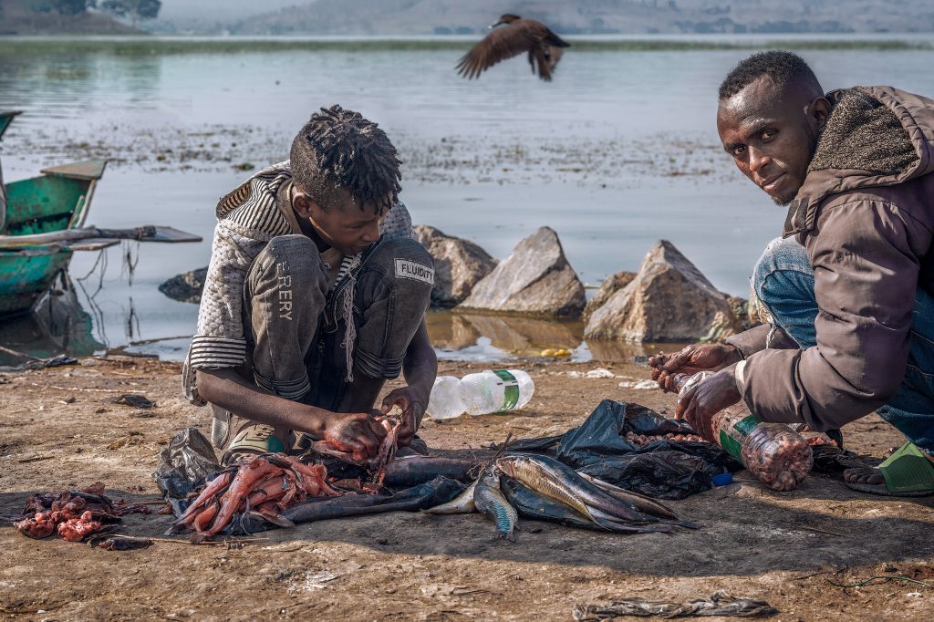 processing the catch and gutting the fish
