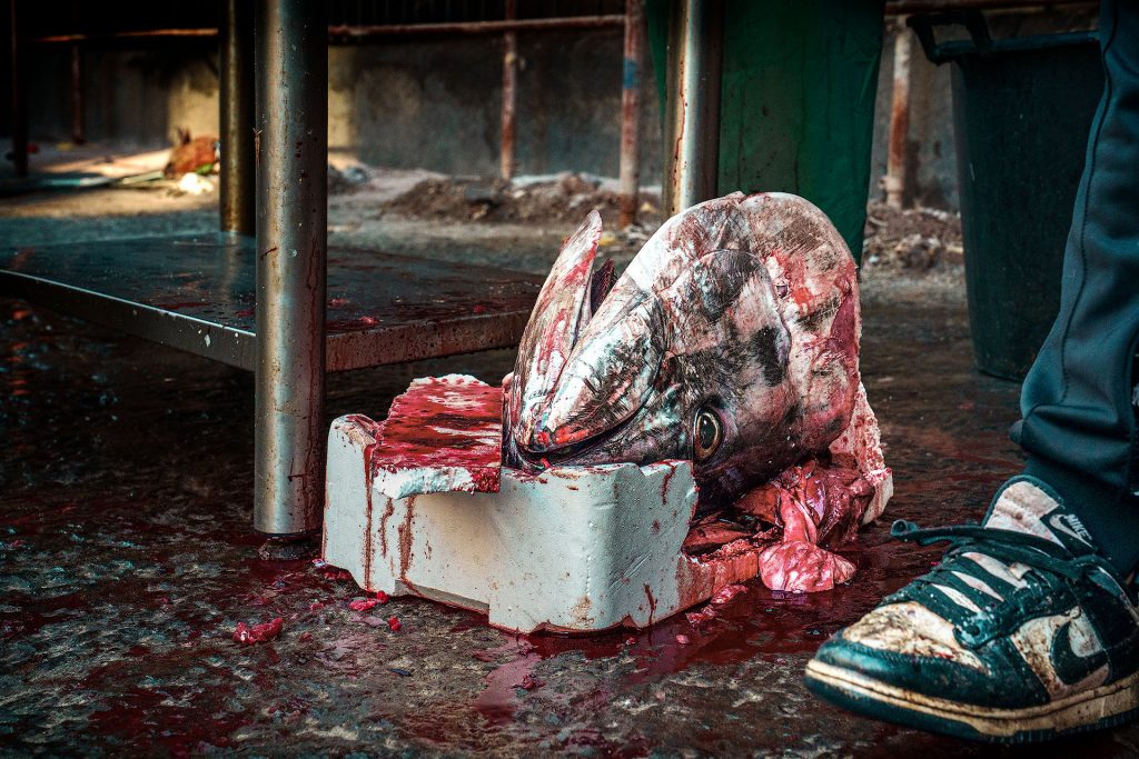 Auf dem dunkel gehaltenen Farbfoto sieht man einen abgeschnittenen blutigen Kopf von einem Thunfisch. Vorne rechts ins Bild läuft ein anscheinend ein Mann , von dem nur der Turnschuh ins Bild ragt.