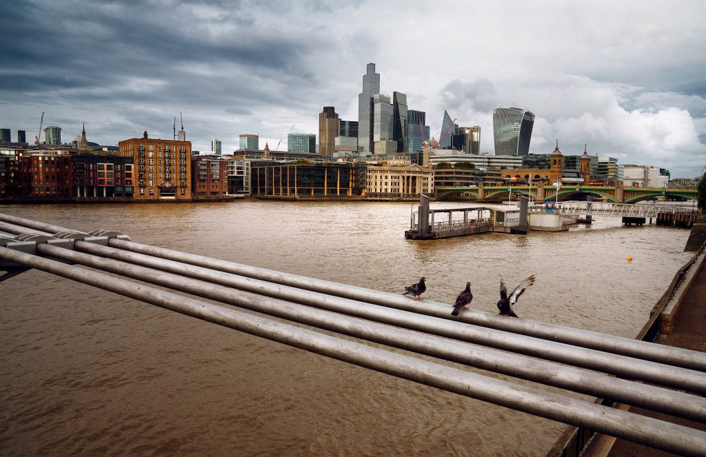 Farbfotografie in entsättigten Tönen von London. Der Blick auf die Themse von der Millenium Bridge auf die gegenüberliegende Stadtseite. Im Vordergrund eine Geländer mit Tauben view of the themse from the millenium bridge